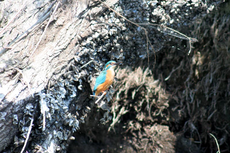 Killikus&reg; Fotographie